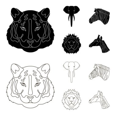 Kaplan, aslan, fil, zebra, gerçekçi hayvanları toplama simgeler siyah, anahat stili vektör simge stok çizim web içinde ayarla.