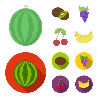 Kivi, üzüm, kiraz, muz. Meyve toplama simgeler çizgi film, düz stil vektör simge stok çizim web ayarla..