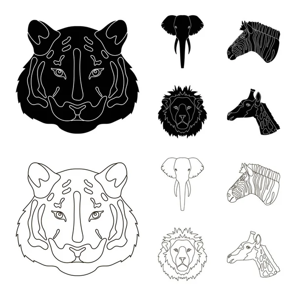 Kaplan, aslan, fil, zebra, gerçekçi hayvanları toplama simgeler siyah, anahat stili vektör simge stok çizim web içinde ayarla.