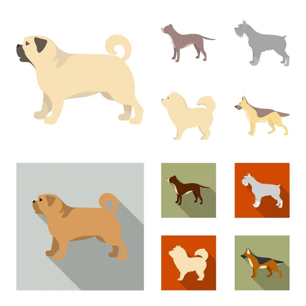 Pit ταύρος, Γερμανικός Ποιμενικός, chow chow, schnauzer. Φυλές σκύλων που συλλογή εικονιδίων στο καρτουν, επίπεδη στυλ διάνυσμα σύμβολο μετοχής εικονογράφηση web. — Διανυσματικό Αρχείο