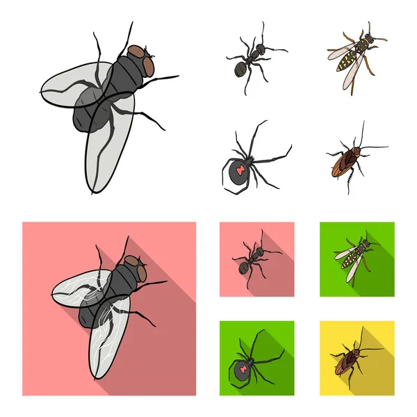 Hyönteisten niveljalkainen, osa, hämähäkki, torakka. Hyönteiset asettaa kokoelma kuvakkeet sarjakuva, tasainen tyyli vektori symboli varastossa isometrinen kuva web . — vektorikuva