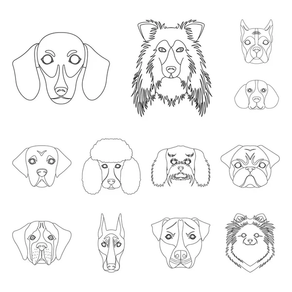Köpek ırkları set koleksiyonu tasarım için simgeleri anahat. Bir köpek vektör simge stok web illüstrasyon namlu.