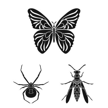 Çeşitli böcekler set koleksiyonu tasarım için simgeler siyah. Böcek Eklem bacaklılar vektör simge stok web çizimi.