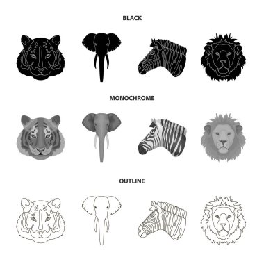 Tiger, lion, elephant, zebra, Realistic animals set collection icons in black,monochrome,outline style vector symbol stock illustration web.