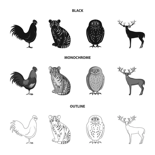 Coq, tigre, cerf, hibou et autres animaux.Animaux mis icônes de la collection en noir, monochrome, contour de style vectoriel symbole illustration web . — Image vectorielle