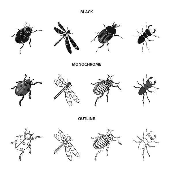 Arthropods Insect ladybird, dragonfly, beetle, Colorado beetle Insects set collection icons in black,monochrome,outline style vector symbol stock isometric illustration web. — Stock Vector