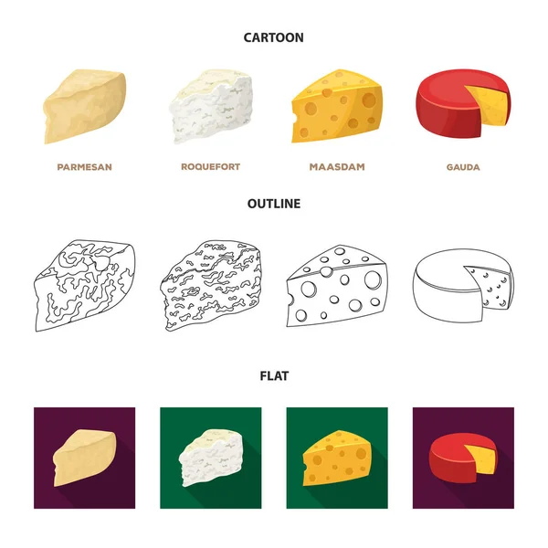 Parmesano, roquefort, maasdam, gauda.Different tipos de queso conjunto colección iconos en dibujos animados, contorno, plano estilo vector símbolo stock ilustración web . — Vector de stock