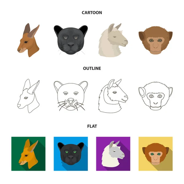 Kängurus, Lamas, Affen, Panther, realistische Tiere setzen Sammlungssymbole in Cartoon, Umriss, flachen Stil Vektor Symbol Stock Illustration Web. — Stockvektor