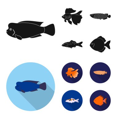 Discus, altın, sazan, koi, scleropages, fotmosus. Balık toplama simgeler siyah, düz stil vektör simge stok çizim web içinde ayarla..