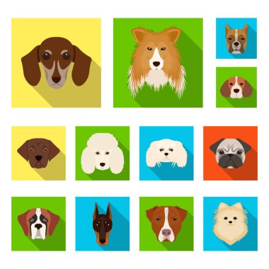 Köpek ırkları set koleksiyonu tasarım için simgeleri düz. Bir köpek vektör simge stok web illüstrasyon namlu.