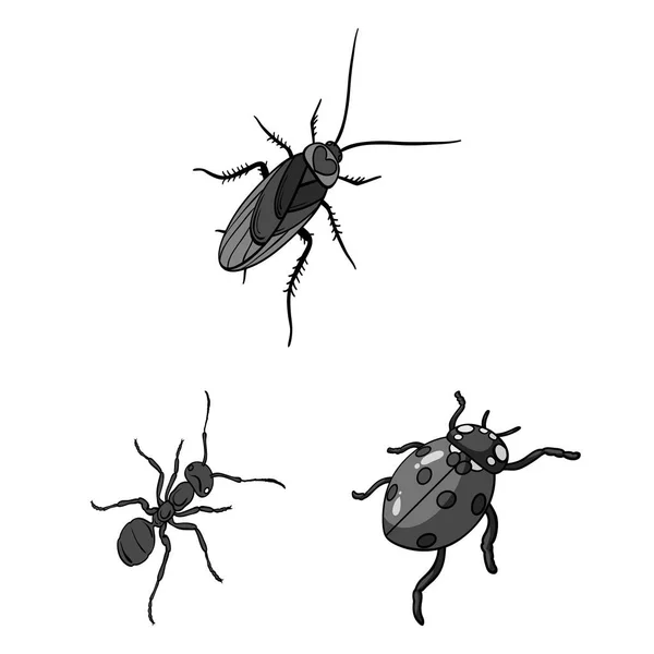 Verschiedene Arten von Insekten monochromen Symbolen in Set Sammlung für Design. Insekt Arthropoden Vektor isometrisches Symbol Stock Web Illustration. — Stockvektor