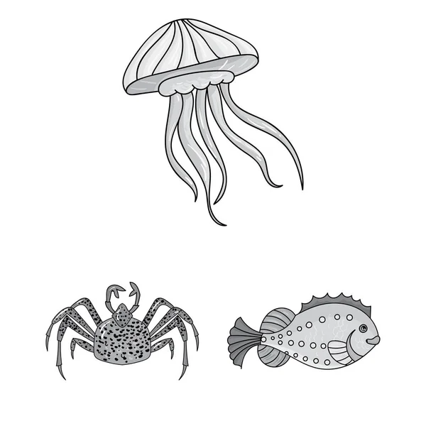 Eine Vielzahl von Meerestieren monochromen Symbolen in Set-Kollektion für Design. Fisch und Schalentiere Vektor Symbol Stock Web Illustration. — Stockvektor