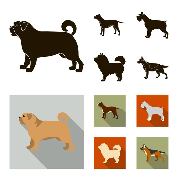 Pit bull, pastor alemán, chow chow, schnauzer. Perro razas conjunto colección iconos en negro, plano estilo vector símbolo stock ilustración web . — Vector de stock