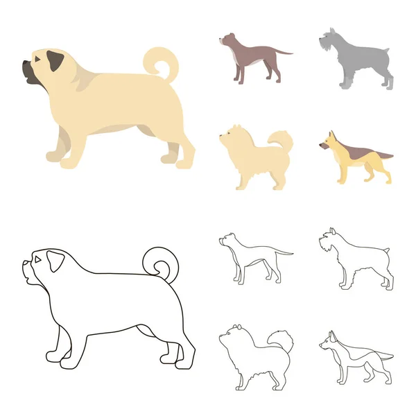 Pit Bull, pastor alemão, comida, schnauzer. Raças de cães definir ícones de coleção em desenhos animados, esboço estilo vetor símbolo estoque ilustração web . — Vetor de Stock