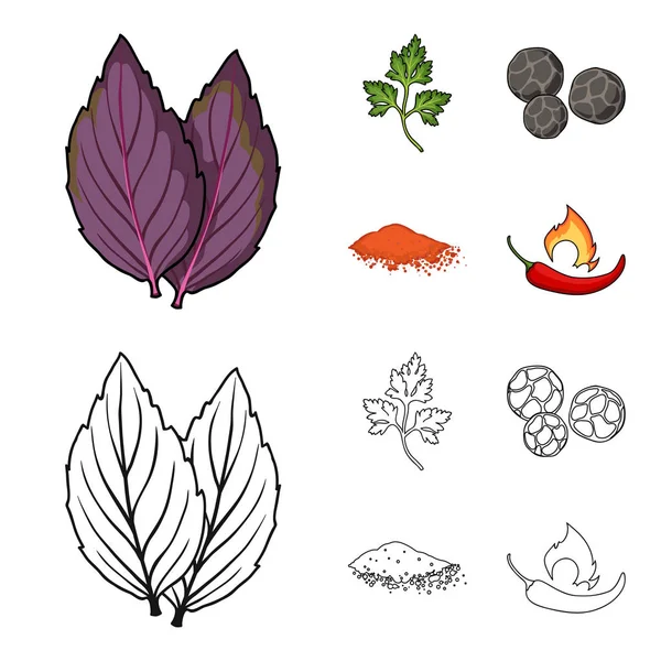 Ptrushka, pimenta preta, páprica, chili.Herbs e especiarias conjunto ícones de coleção em desenhos animados, esboço estilo vetor símbolo estoque ilustração web . — Vetor de Stock