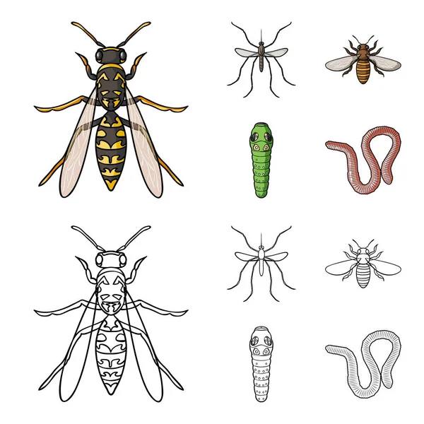 蠕虫, 蜈蚣, 黄蜂, 蜂, 大黄蜂。昆虫集合图标在卡通, 轮廓风格矢量符号股票插画网站. — 图库矢量图片