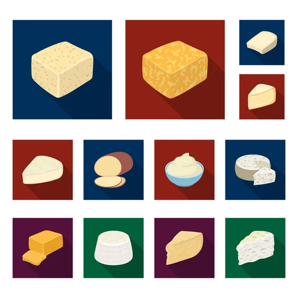 Diferentes tipos de ícones planos de queijo na coleção de conjuntos para design.Milk produto queijo vetor símbolo web ilustração . —  Vetores de Stock