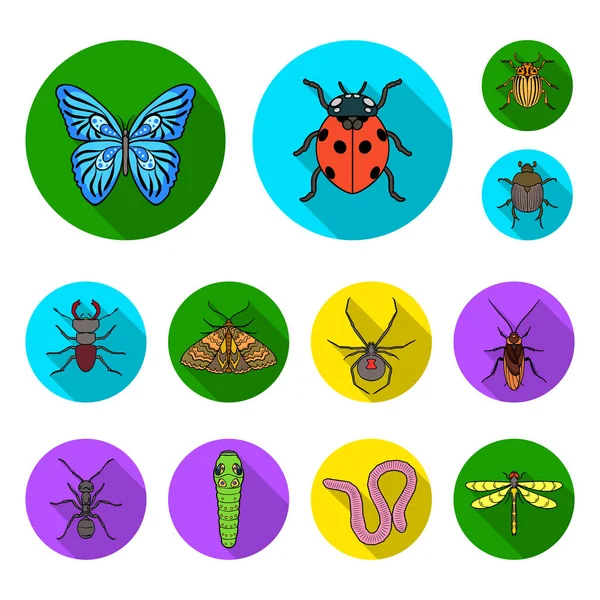 Different kinds of insects flat icons in set collection for design. Insect arthropod vector symbol stock web illustration. — Stock Vector