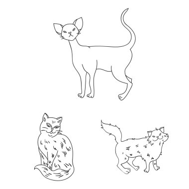 Doğurmak-in cats set koleksiyonu tasarım için simgeleri anahat. Evde beslenen hayvan kedi vektör simge stok web çizim.