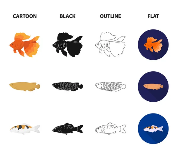 Discus, oro, carpa, koi, scleropaggi, fotmosus.Fish set icone di raccolta in cartone animato, nero, contorno, stile piatto vettore simbolo stock illustrazione web . — Vettoriale Stock