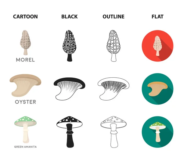 Morel, oyster, amanita verde, actarius indigo.Fungo set icone di raccolta in cartone animato, nero, contorno, stile piatto vettore simbolo stock illustrazione web . — Vettoriale Stock