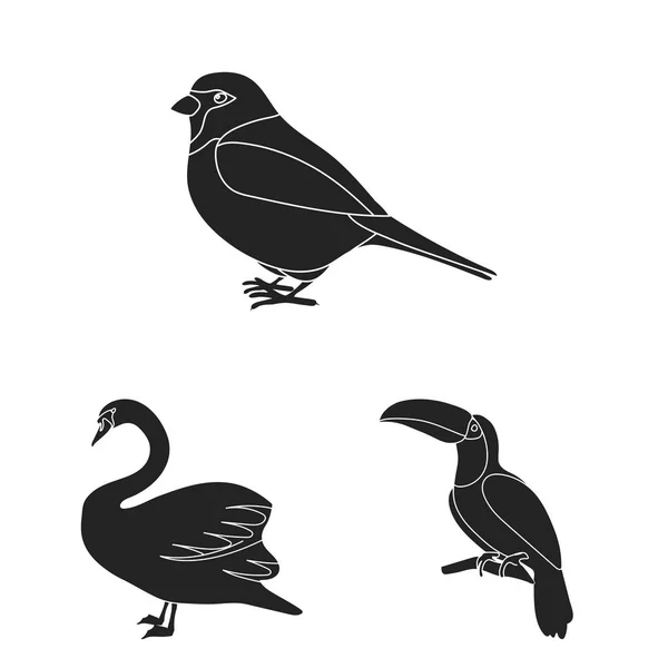 Tipos de pájaros iconos negros en la colección de conjuntos para el diseño. Inicio y aves silvestres vector símbolo stock web ilustración . — Vector de stock