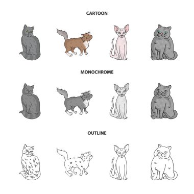 Sfenks, nibelung, Norveçli orman kedi ve diğer türler. Kedi doğurmak koleksiyonu Icons set çizgi film, anahat, tek renkli stil vektör simge stok çizim web.