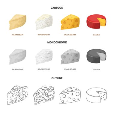 Parmesan, rokfor, maasdam, gauda. Peynir farklı türde koleksiyon Icons set çizgi film, anahat, tek renkli stil vektör simge stok çizim web.