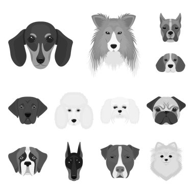 Köpek ırkları set koleksiyonu tasarım için tek renkli simgeler. Bir köpek vektör simge stok web illüstrasyon namlu.