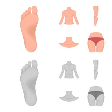 Gövde, bacak, boyun ve kalça. Vücut parçaları toplama simgeler çizgi film, tek renkli stil vektör simge stok çizim web ayarla..