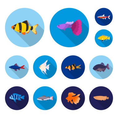Farklı türde balık set koleksiyonu tasarım için simgeleri düz. Deniz ve akvaryum balık sembol stok web illüstrasyon vektör.
