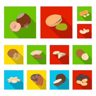 Fındık çeşitleri set koleksiyonu tasarım için simgeleri düz. Fındık gıda vektör simge stok web çizim.