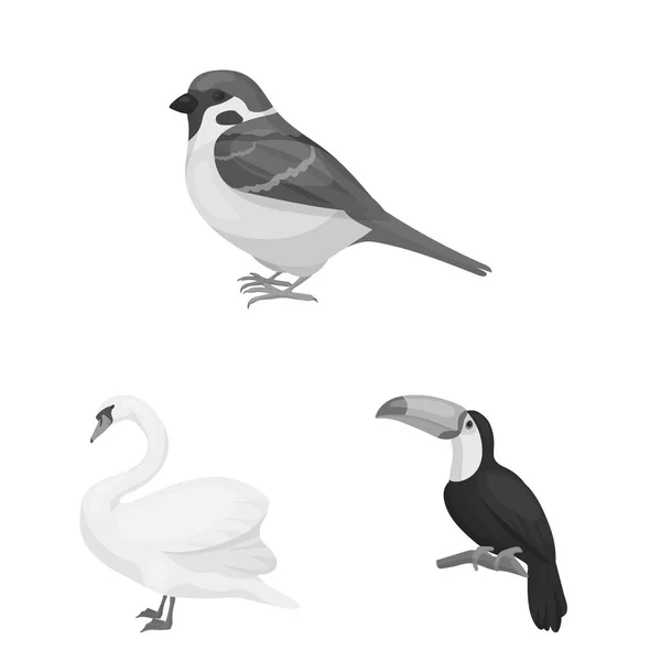 Arten von Vögeln monochromen Symbolen in Set Sammlung für Design. Haus und Wildvogel Vektor Symbol Stock Web Illustration. — Stockvektor