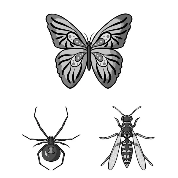 Different kinds of insects monochrome icons in set collection for design. Insect arthropod vector symbol stock web illustration. — Stock Vector