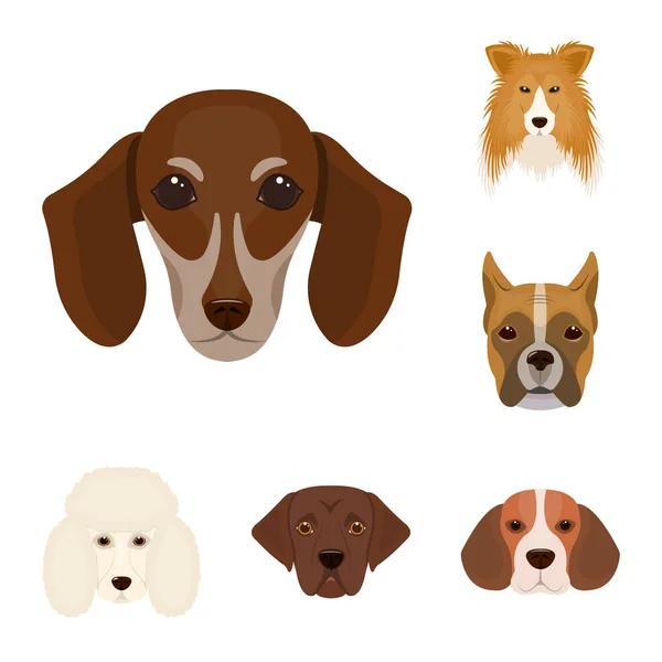 Perro razas iconos de dibujos animados en la colección de conjuntos para design.Muzzle de un perro vector símbolo stock web ilustración . — Vector de stock