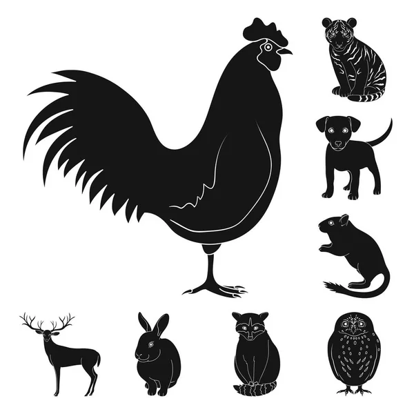 Realistic animals black icons in set collection for design. Wild and domestic animals vector symbol stock web illustration. — Stock Vector