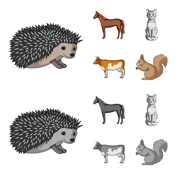 Horse, cow, cat, squirrel and other kinds of animals.Animals set collection icons in cartoon,monochrome style vector symbol stock illustration web. — Stock Vector