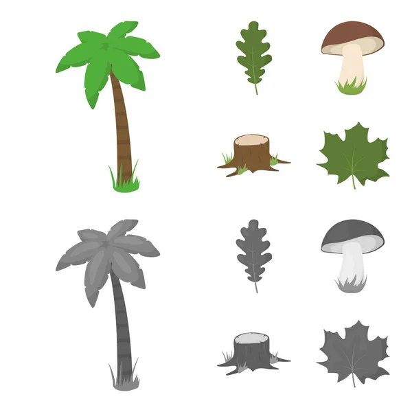 橡树叶, 蘑菇, 树桩, 枫叶。森林集合图标在卡通, 单色风格矢量符号股票插画网站. — 图库矢量图片