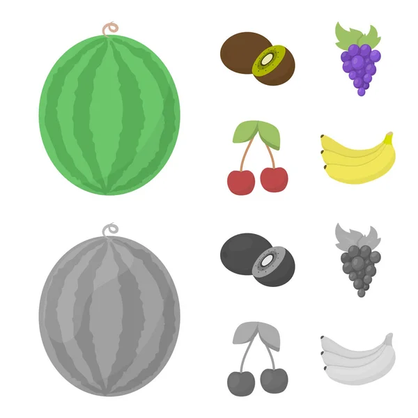 Kiwi, winogron, wiśni, banan. Owoców zestaw kolekcji ikon w kreskówce, www ilustracji symbol wektor styl monochromatyczny. — Wektor stockowy