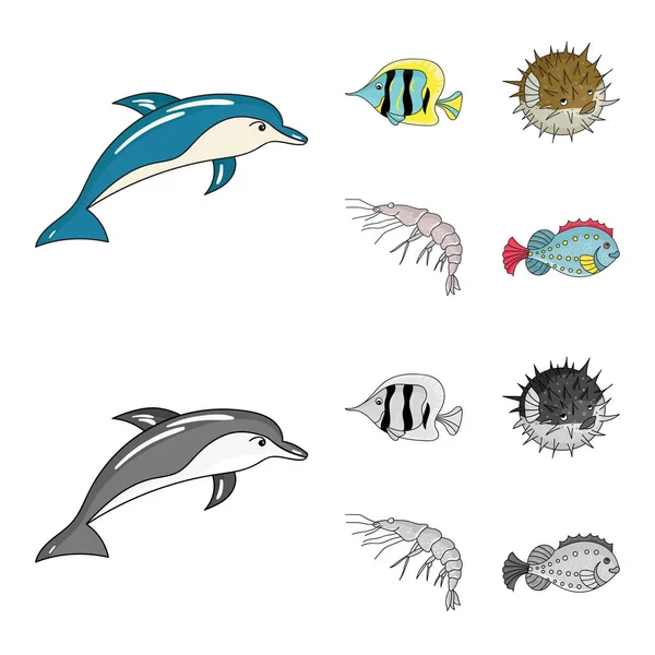 Garnelen, Fische, Igel und andere Arten.Meerestiere setzen Sammlung Symbole in Cartoon, monochromen Stil Vektor Symbol Stock Illustration Web. — Stockvektor