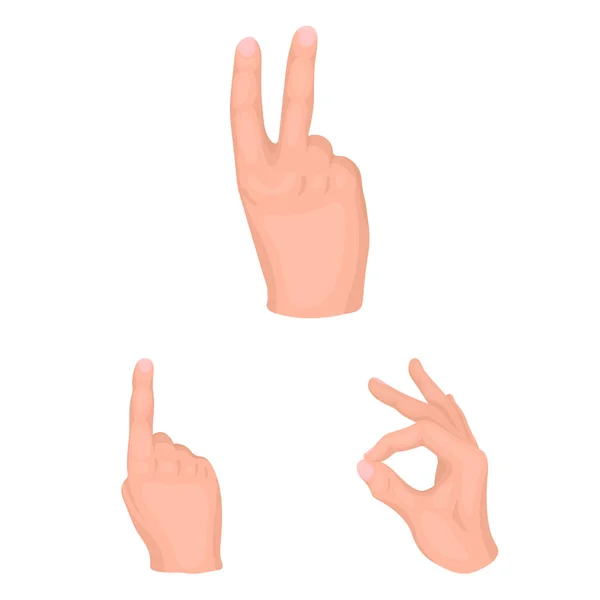 Ícones de desenho animado gesto mão na coleção de conjuntos para o design. Palma e dedo símbolo vetor web ilustração . — Vetor de Stock
