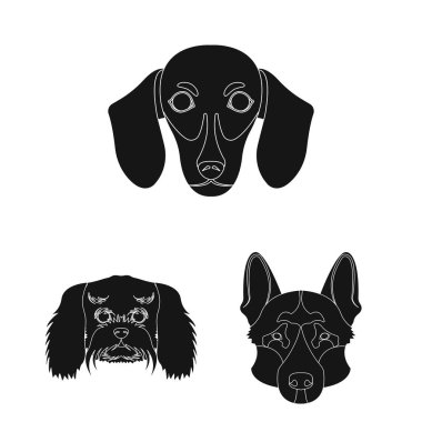 Köpek ırkları set koleksiyonu tasarım için simgeler siyah. Bir köpek vektör simge stok web illüstrasyon namlu.