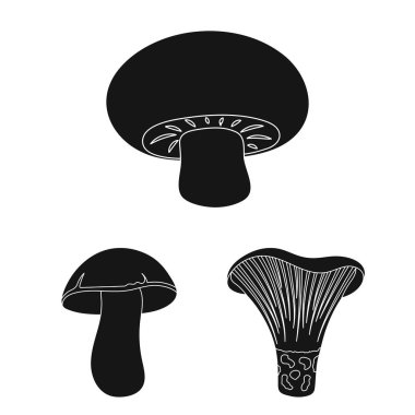 Zehirli ve yenilebilir mantar siyah simgeler set koleksiyonu tasarım için. Mantar farklı türde sembol stok web illüstrasyon vektör.