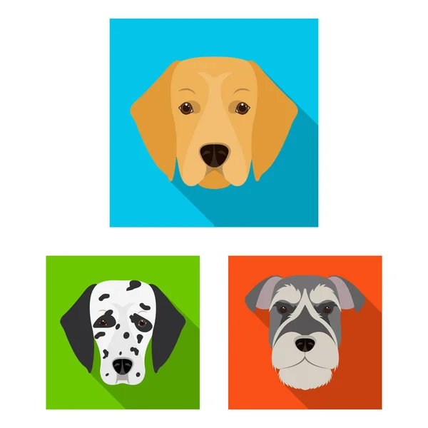 El perro reproduce iconos planos en la colección de conjuntos para el diseño.Hocico de un perro vector símbolo stock web ilustración . — Vector de stock