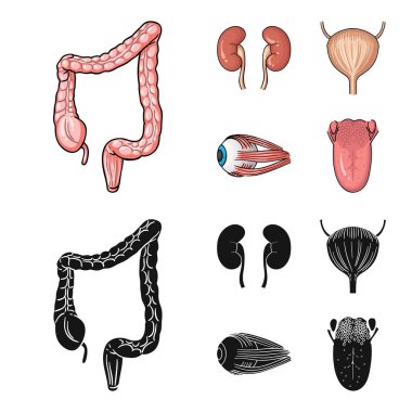 Böbrek, mesane, gözü, dili. İnsan organlarını toplama simgeler çizgi film, siyah stil vektör simge stok çizim web ayarla..