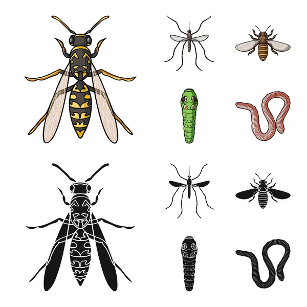 Worm, centipede, wasp, bee, hornet .Insects set collection icons in cartoon,black style vector symbol stock illustration web. — Stock Vector