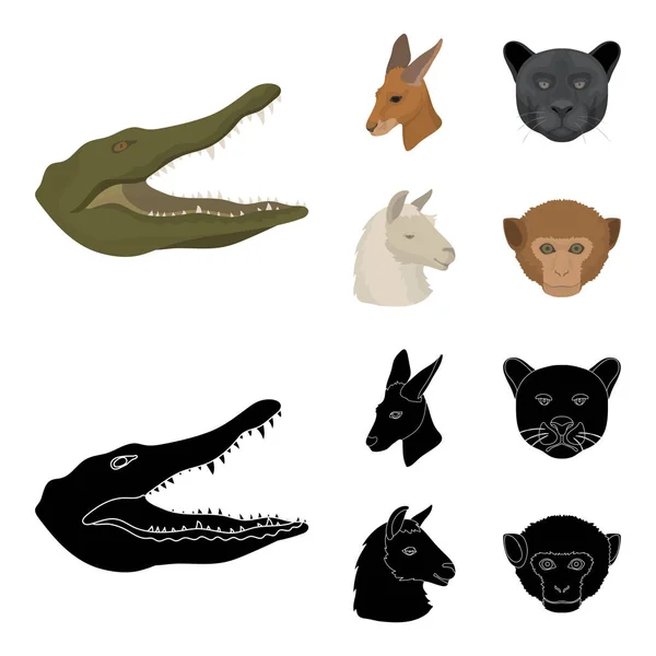 Kängurus, Lamas, Affen, Panther, realistische Tiere setzen Sammlungssymbole in Cartoon, Vektor-Symbol im schwarzen Stil Stock Illustration Web. — Stockvektor