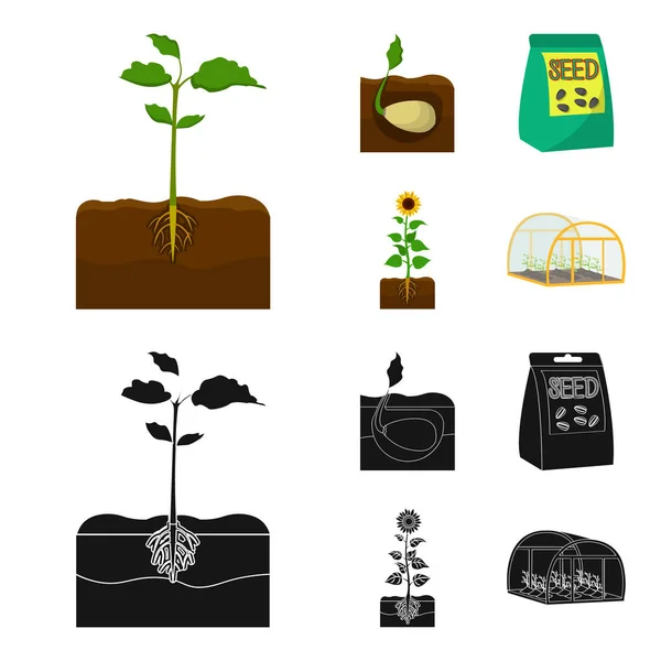 Company, ecology, and other web icon in cartoon,black style. Husks, fines, garden icons in set collection. — Stock Vector