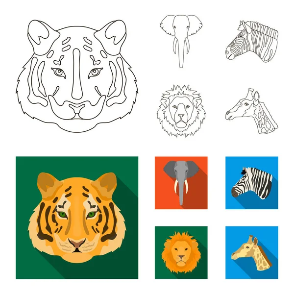 Tigre, leão, elefante, zebra, animais realistas definir ícones de coleção em esboço, estilo plano símbolo vetorial estoque ilustração web . — Vetor de Stock