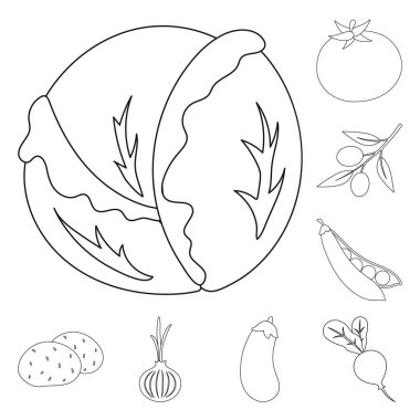 Sebze çeşitleri set koleksiyonu tasarım için simgeleri anahat. Sembol stok web illüstrasyon vektör sebze ve vitaminler.